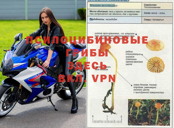 альфа пвп VHQ Богородицк