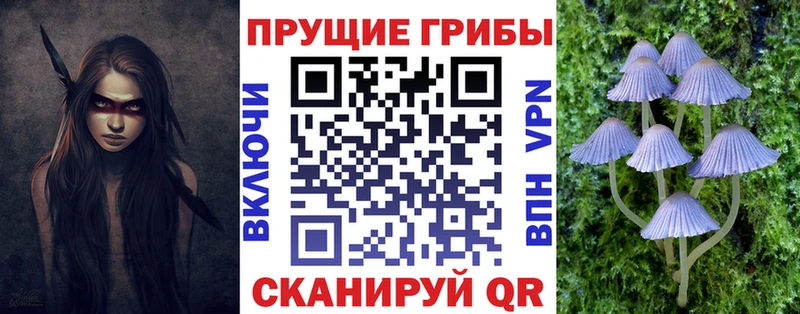 даркнет сайт Бокситогорск Галлюциногенные грибы прущие грибы